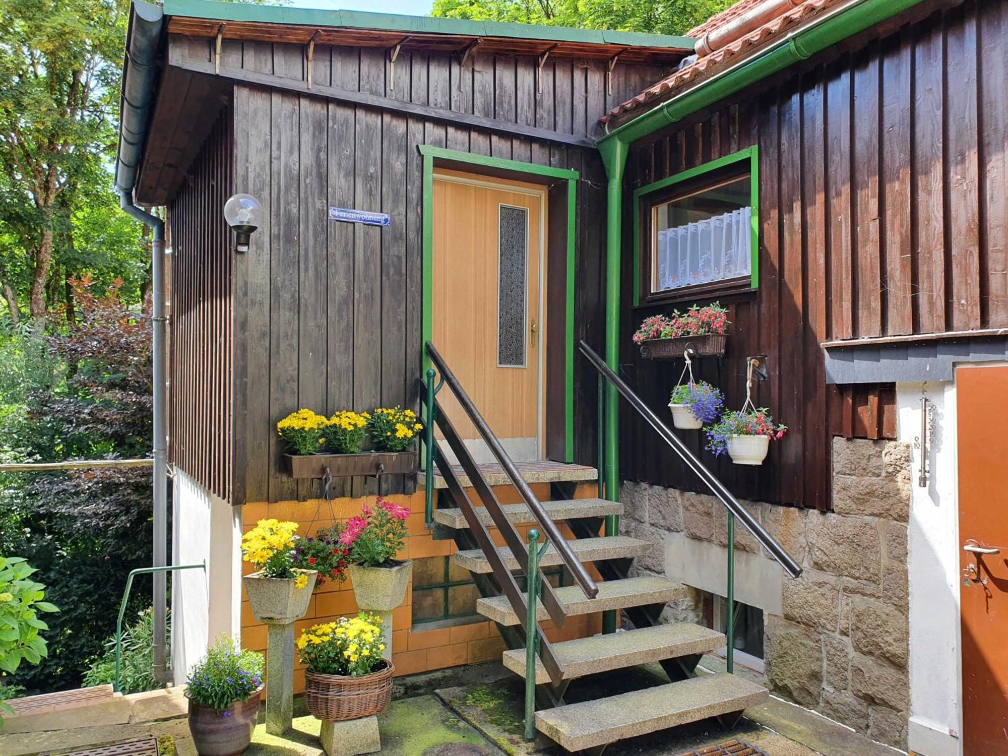 Апартаменты Haus Sonja Танне Экстерьер фото